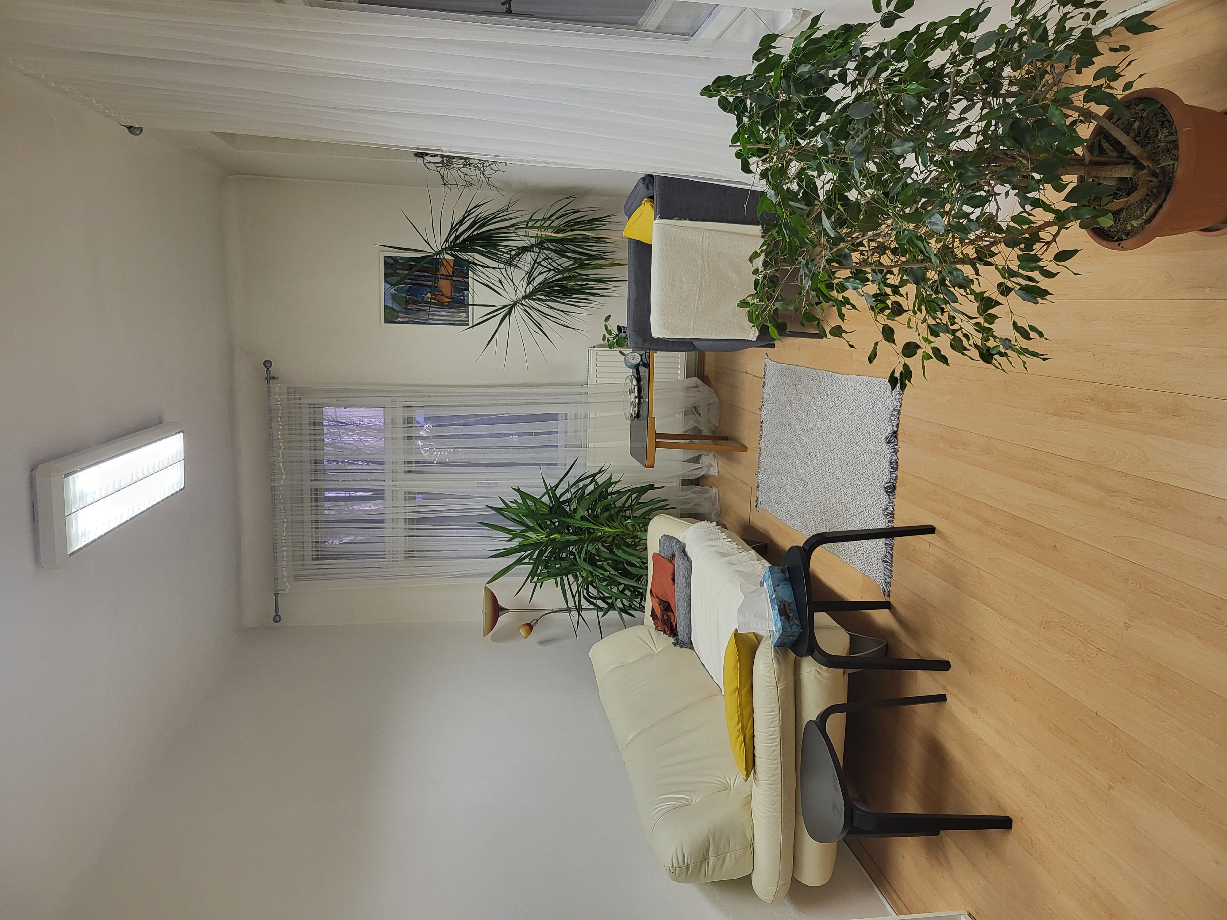 Terapeutická místnost